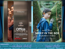 Cinema Sheep In The Box
