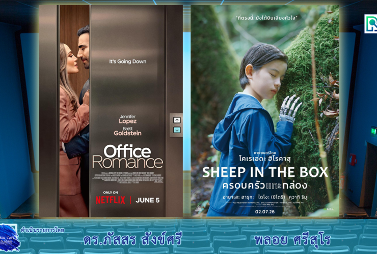 Cinema Sheep In The Box