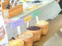 มทร.ล้านนา พิษณุโลก จัดกิจกรรมศึกษาแหล่งเรียนรู้เสริมทักษะ