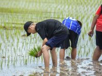 มทร.ล้านนา พิษณุโลก จัดกิจกรรมศึกษาแหล่งเรียนรู้เสริมทักษะ