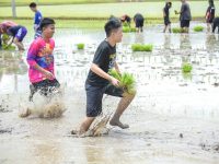 มทร.ล้านนา พิษณุโลก จัดกิจกรรมศึกษาแหล่งเรียนรู้เสริมทักษะ