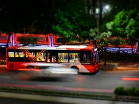 Bus
