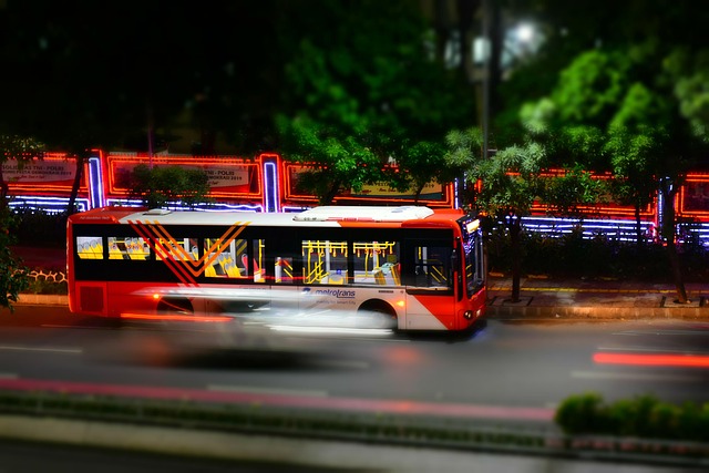Bus
