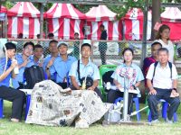 มทร.ธัญบุรี จัดแข่งขันจรวดขวดน้ำและเครื่องบินกระดาษพับระดับประเทศ