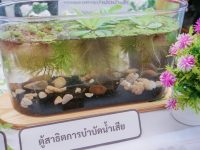 นักศึกษาการเงินและการลงทุน มทร.ธัญบุรี ปล่อยพลังไอเดียธุรกิจใหม่