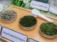 นักศึกษาการเงินและการลงทุน มทร.ธัญบุรี ปล่อยพลังไอเดียธุรกิจใหม่