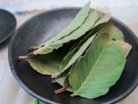 นักศึกษาการเงินและการลงทุน มทร.ธัญบุรี ปล่อยพลังไอเดียธุรกิจใหม่